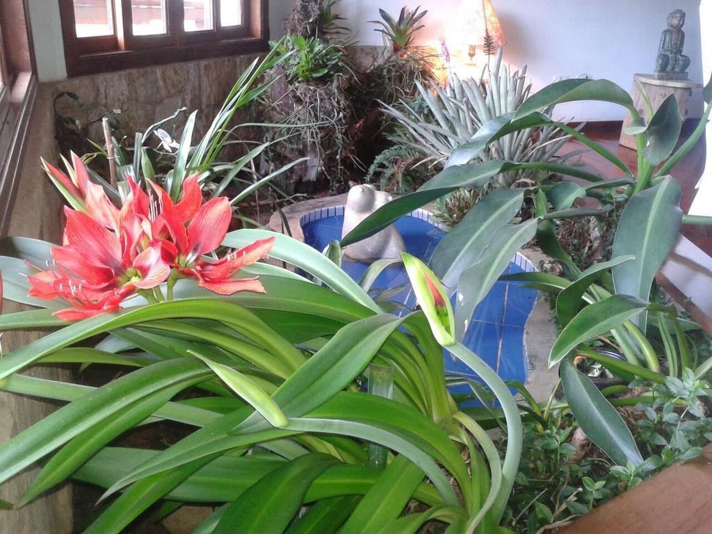 Campos Do Jordao Home Guest house *
